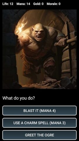 Dungeons and Decisions RPG для Android — скриншот 1