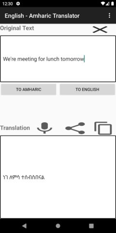 English — Amharic Translator для Android — скриншот 5