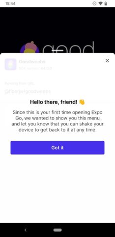 Expo Go для Android — скриншот 3