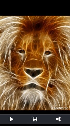 Face Morph для Android — скриншот 4