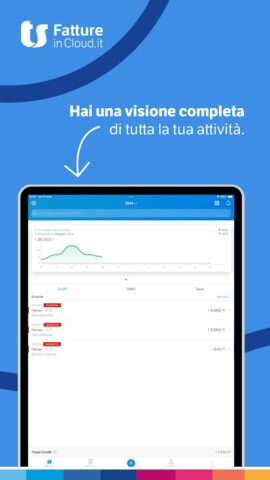 Fatture in Cloud для Android — скриншот 5
