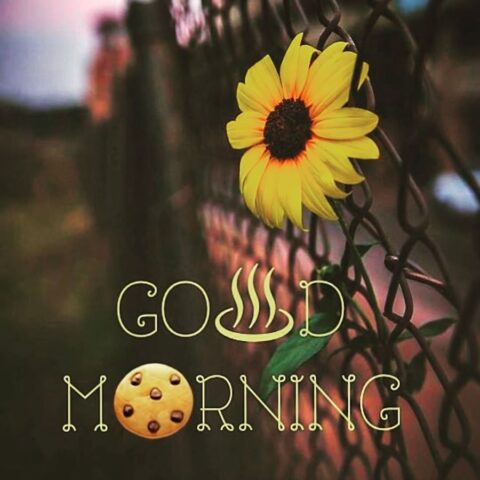 Good Morning Flower Wishes для Android — скриншот 2