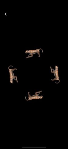 Hologram 3D для iOS — скриншот 2