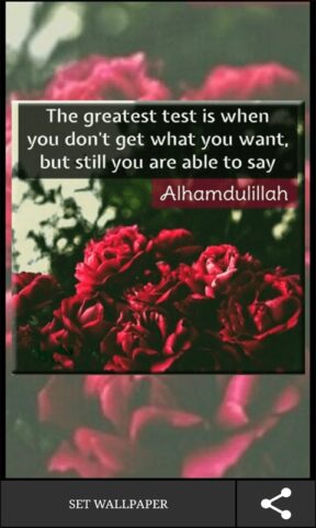 Islamic Truth Quotes для Android — скриншот 2