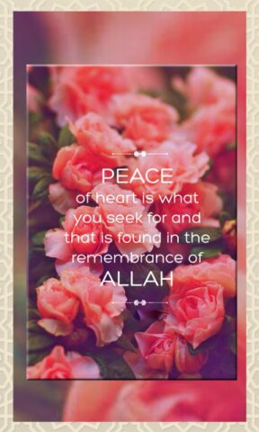 Islamic Truth Quotes для Android — скриншот 3