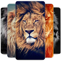 Lion Wallpapers HD для Android