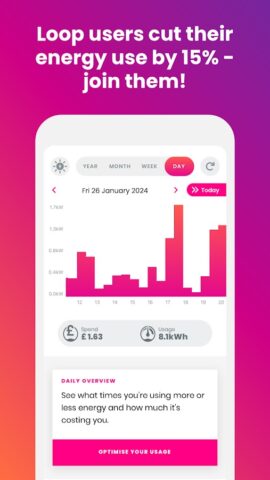 Loop Energy — Smart Meter App для Android — скриншот 1