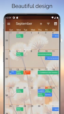 One Calendar для Android — скриншот 2