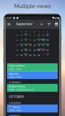 One Calendar для Android — скриншот 3