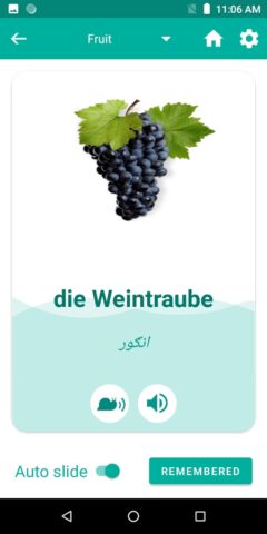 Pashto German Translator для Android — скриншот 4