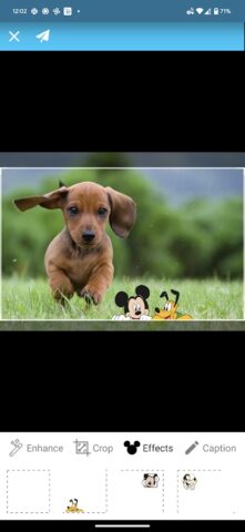 PhotoShare Frame v2 для Android — скриншот 5