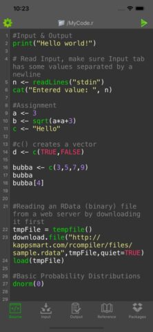 R Programming Compiler для iOS — скриншот 1