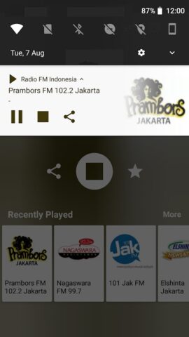 Radio FM Indonesia Online для Android — скриншот 3
