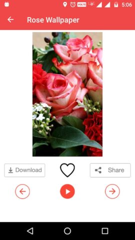 Роза обои для Android — скриншот 5
