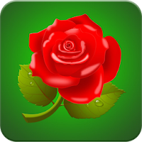 Роза обои для Android