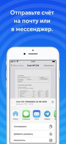 Счет онлайн для iOS — скриншот 2