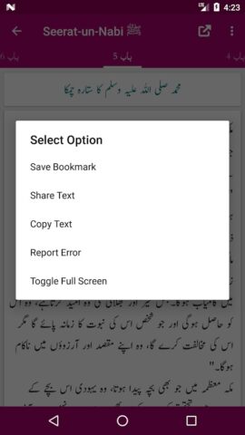 Seerat-un-Nabi ﷺ для Android — скриншот 4