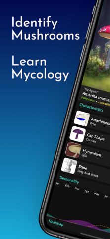ShroomID — Mushroom Identifier для Android — скриншот 1