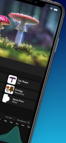 ShroomID — Mushroom Identifier для Android — скриншот 2