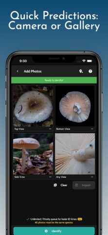 ShroomID — Mushroom Identifier для Android — скриншот 3