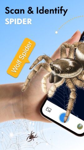 Spider Identifier: Insect ID для Android — скриншот 1