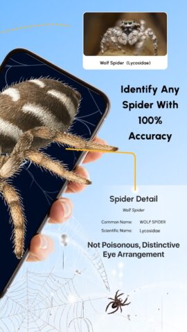 Spider Identifier: Insect ID для Android — скриншот 2