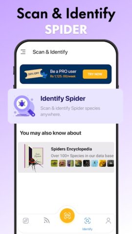 Spider Identifier: Insect ID для Android — скриншот 3