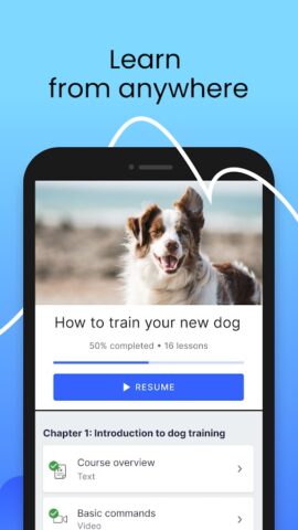 Thinkific для Android — скриншот 1