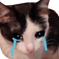 Стикеры Кошки для WASticker для Android