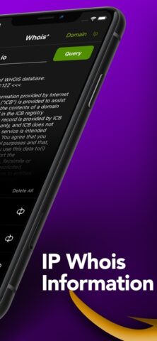 Whois+ поиск доменного имени для iOS — скриншот 2