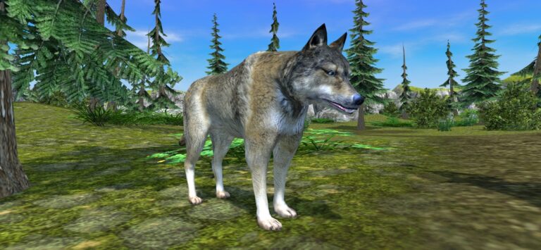 Симулятор Волка — Дикие Звери для iOS — скриншот 1