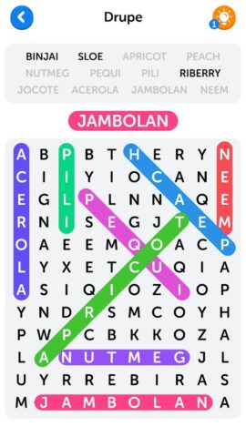 Word Search — скриншот 2