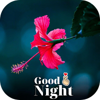 Good Night Flowers Images для Android