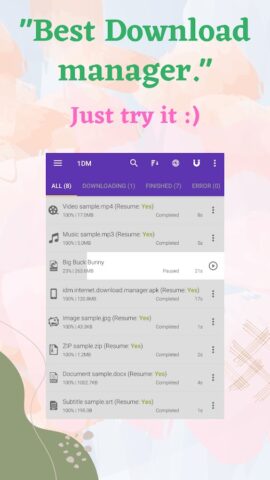 1DM+: Browser & Video Download для Android — скриншот 1