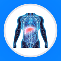 Анатомия человека: тесты 2026 для iOS