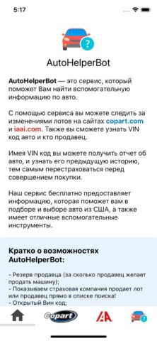 AutoHelperBot для iOS — скриншот 2