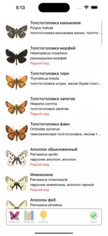 Бабочки для iOS — скриншот 2