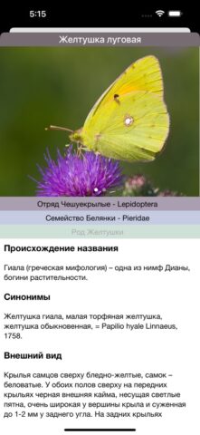 Бабочки для iOS — скриншот 3