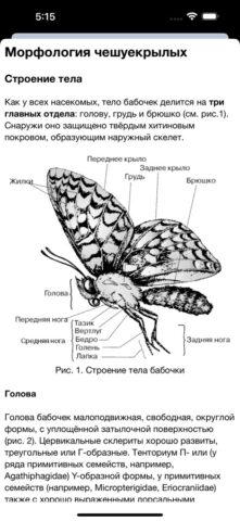 Бабочки для iOS — скриншот 4