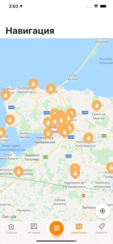 Балтнефть АЗС для iOS — скриншот 3