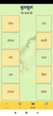 CBSE Class 2 HIndi для Android — скриншот 5