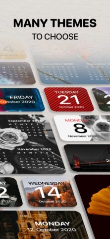 Calendar Widget for iPhone — скриншот 2