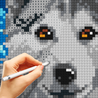 Cross-Stitch Masters для iOS
