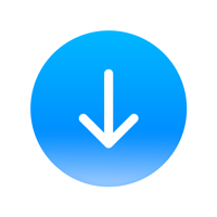 D Manager IDM для iOS