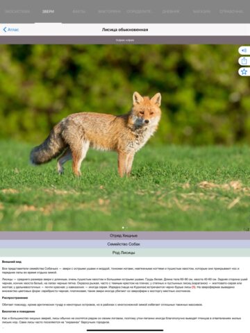 Экогид — Звери для iOS — скриншот 2