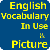 English Vocabulary in Use для iOS