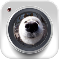 Fish eye camera & Video Square для iOS