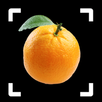 Fruit Identifier — By Photo для iOS