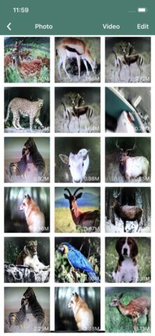 GcamPro для iOS — скриншот 3