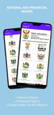 Grade 10 Past Papers and Guide для Android — скриншот 1